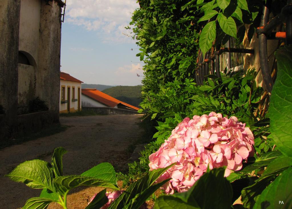 Quinta Do Cerquito Villa Ferreira do Zezere Luaran gambar