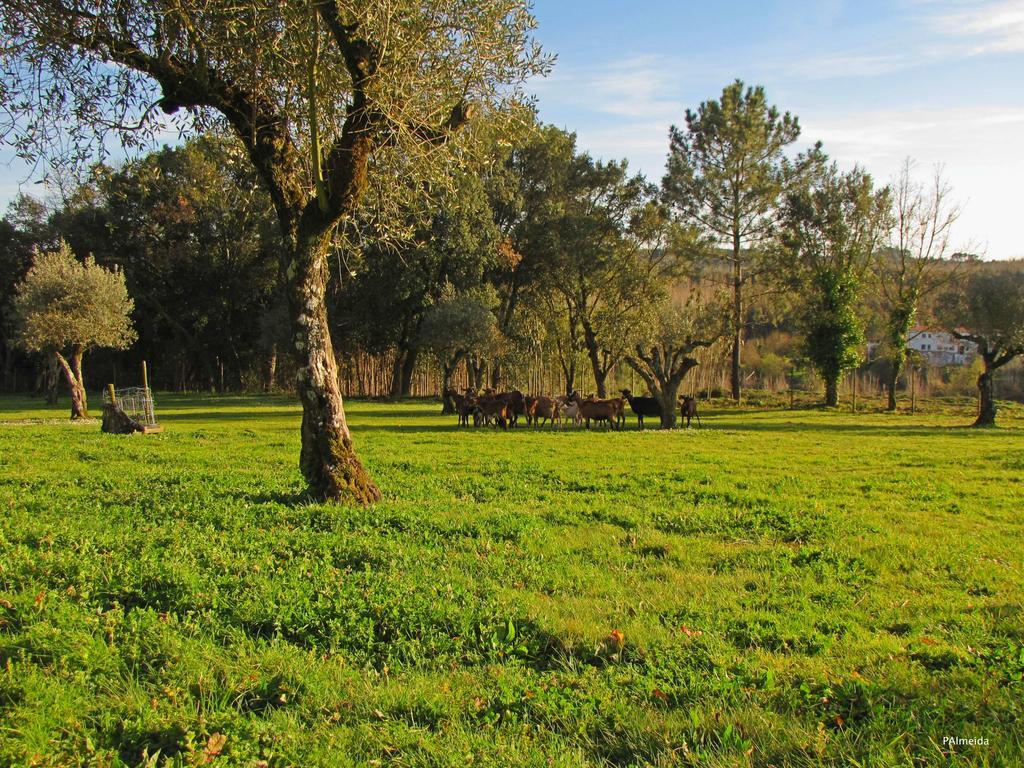 Quinta Do Cerquito Villa Ferreira do Zezere Luaran gambar